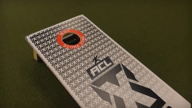 Amazon.com : Titan Bags X Factor Cornhole Boards - ACL Elite